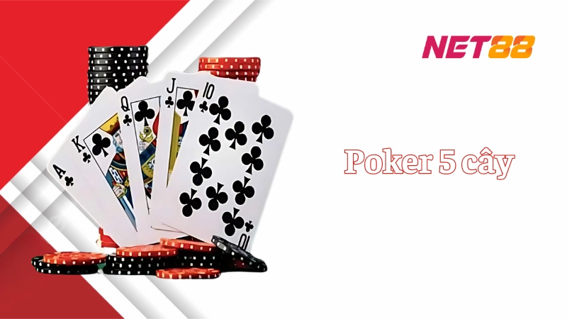 Poker 5 cây: Game bài đổi thưởng hấp dẫn không thể bỏ lỡ Thế nào là Poker 5 cây?